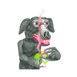 Doggensnout (DOGGS)