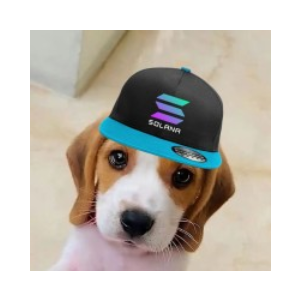 Winston (WINSTON)