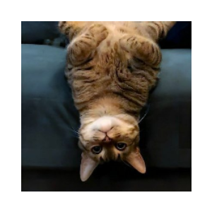 UpSideDownCat (USDCAT)
