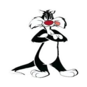 CAT SYLVESTER (CATSY)