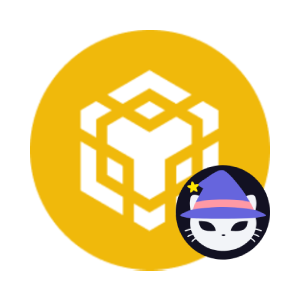Binance Coin (SpookySwap) (SBNB)