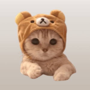 WIFCAT COIN (WIFCAT)