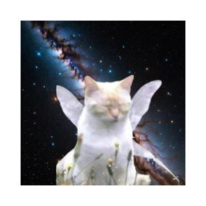 Manifest (MANIFEST)
