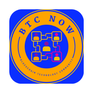 Blockchain Technology Co. (BTCNOW)