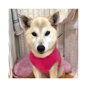 Ito-chan (ITO)