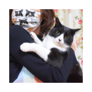 Onigiri The Cat (ONIGIRI)
