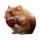 NOMNOM