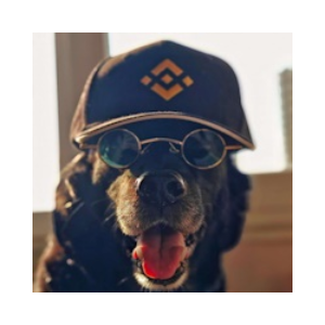 Binancedog (BINANCEDOG)