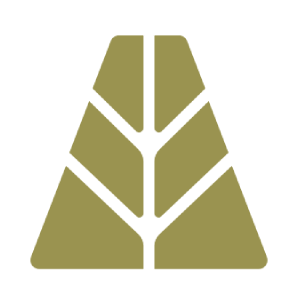 AUSD (AUSD)