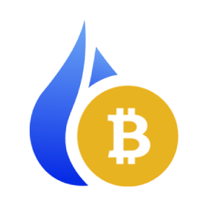 Huobi BSV (HBSV)