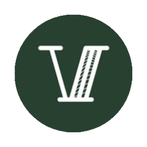 Virtual USD (VUSD)
