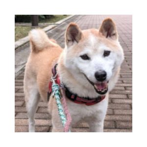 Rintaro (RINTARO)