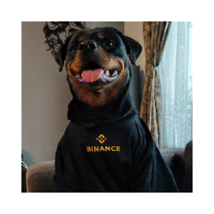 BinanceDog On Sol (BINANCED)
