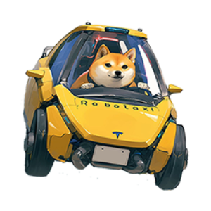 TAXI (ROBOTA)