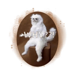WhyCat (WHYCAT)