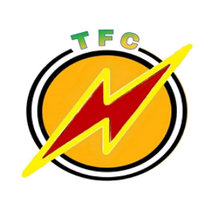 The Flash Currency (THEF)