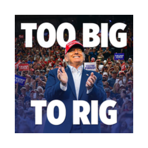 Too Big To Rig (TOOBIGTORIG)