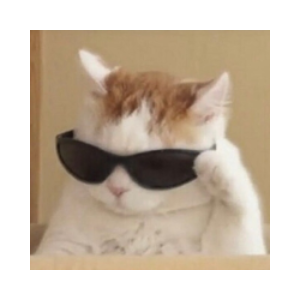 BluffCat (BLUFF)