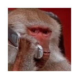 The dev is an Ape (APEDEV)