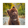 BERT