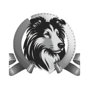 Pal (CRYPTOPAL)