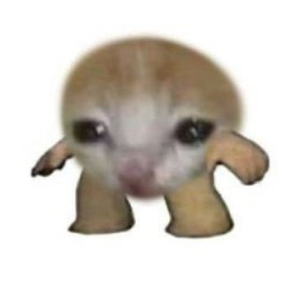 mini (MINI)