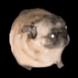 PUGDOG (PUGDOG)