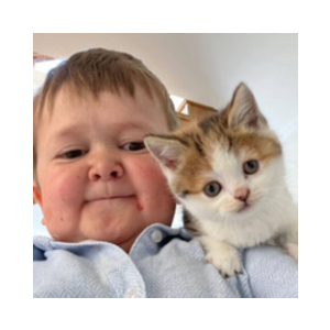 Hasbulla's Cat (BARSIK)