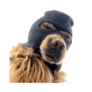 Ski Mask Dog (SKI)