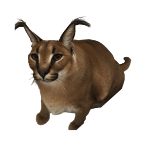 Floppa Cat (FLOPPA)