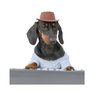 Synthesizer Dog (SYNDOG)