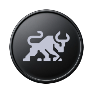 Bitoro Network (BTORO)