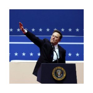NAZI ELON (NAZIELON)