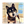 COCORO