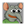 RATO