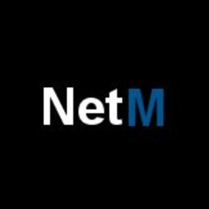 NetM price prediction