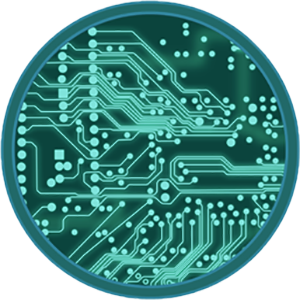 CircuitCoin price prediction