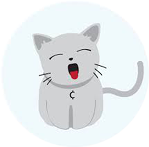 Catcoin