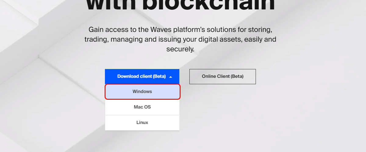 How to install and use the Waves Wallet 1.0.0 13