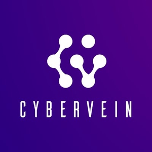 CyberVein price prediction