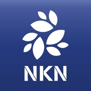 NKN price prediction