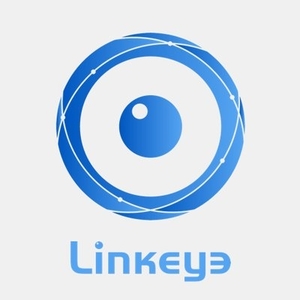 LinkEye price prediction