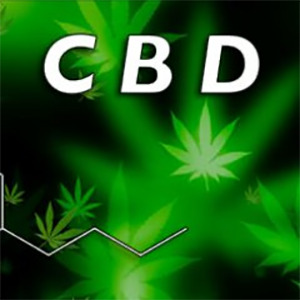 CBD Crystals price prediction