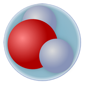 Universal Molecule price prediction