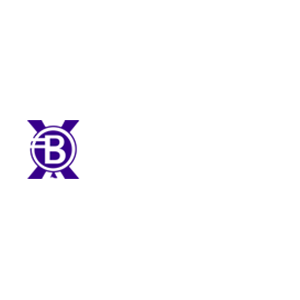 Balloon-X price prediction