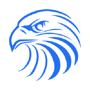 Falconswap stock logo